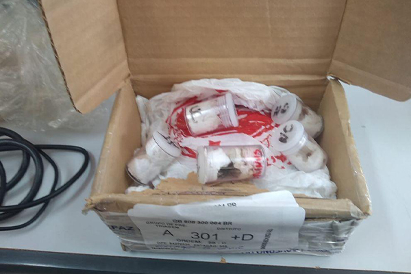 Homem é preso após receber encomenda de aranhas via Correios