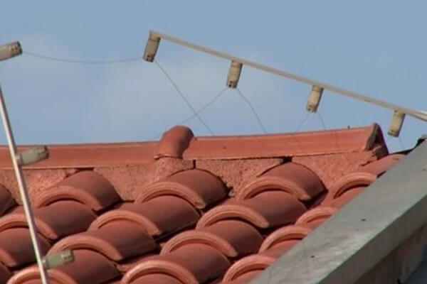 Criminoso-tenta-furtar-residência-com-desculpa-de-pegar-limões-em-Cáceres