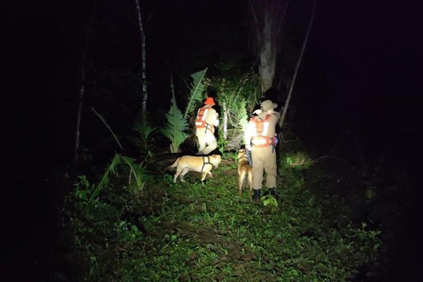 Idosa com problemas de memória some em fazenda