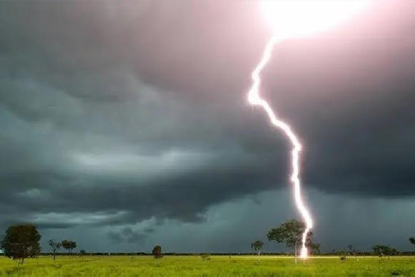 Raio mata funcionários e animais em fazenda de MT
