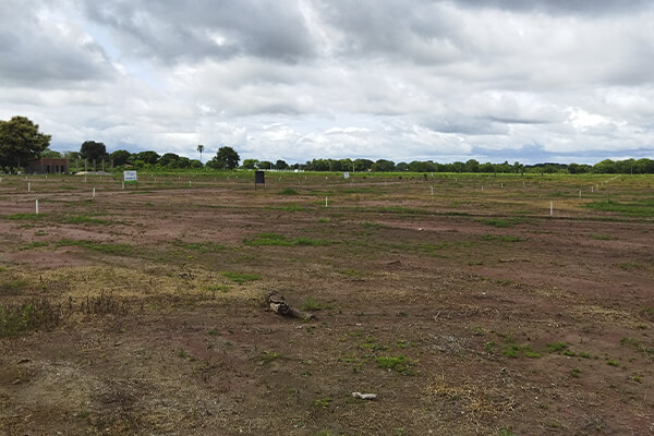 Adquira-terrenos-com-entrada-facilitada-e-sem-consulta