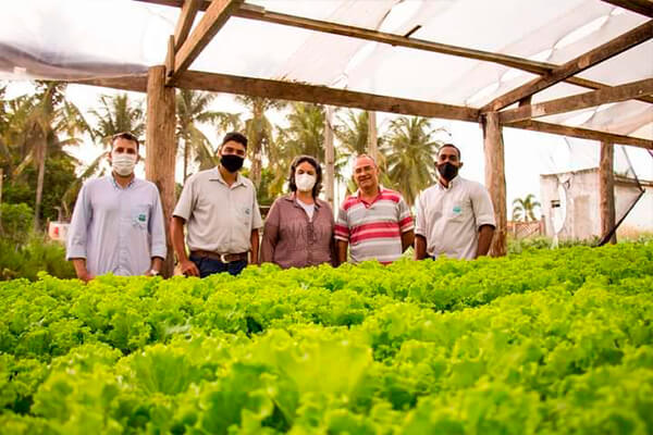 Técnicos da Empaer visitam Cáceres e outros municípios da Região Oeste para orientar produtores