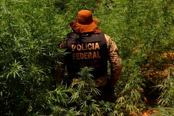 PF destrói laboratório que produzia 10 toneladas de cocaína por mês e prende 4; veja o vídeo