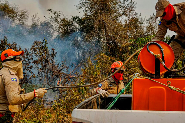 Mato Grosso decreta emergência ambiental a partir do mês de maio