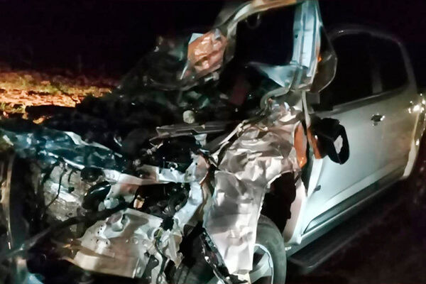 Motorista de caminhonete fica ferido após atropelar rebanho de gado na MT-480