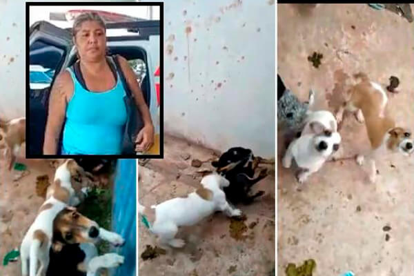 Mulher que abandonou filhotes passando fome em quitinete é presa
