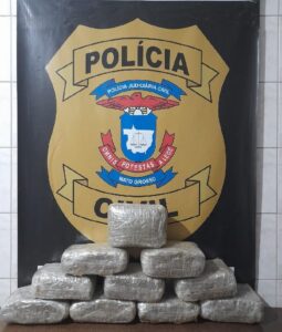 Mulher é presa na rodoviária de Cáceres transportando 10 tabletes de maconha 2