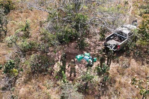 Ação integrada encontra destroços de avião e 218 kg de droga escondida em Nova Lacerda