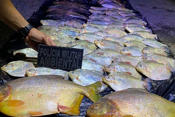 Batalhão Ambiental da PM apreende 45 quilos de pescado irregular durante fiscalização