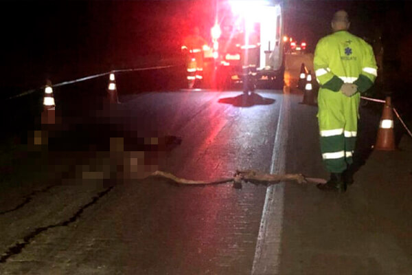 Idoso morre atropelado na BR-163 em MT