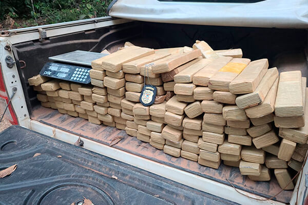 Polícia Civil apreende 400 quilos de maconha enterrados em casa na zona rural de MT