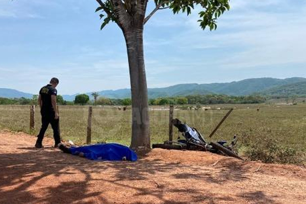 Motociclista perde controle de moto, bate em árvore e morre em MT