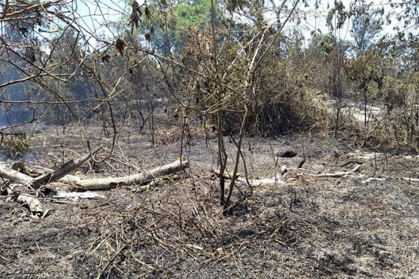 Bombeiros-tentam-conter-fogo-no-Pantanal-na-regi&atilde;o-de-C&aacute;ceres-2