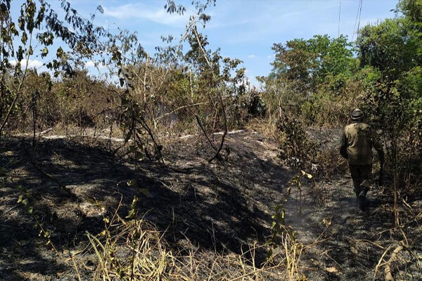 Bombeiros-tentam-conter-fogo-no-Pantanal-na-região-de-Cáceres