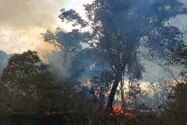 Mato-Grosso-decreta-emergência-ambiental-e-busca-ajuda-federal