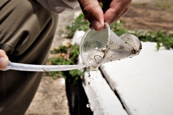 Com-mais-de-100-casos-em-dois-meses-Cáceres-intensifica-combate-ao-mosquito-da-dengue