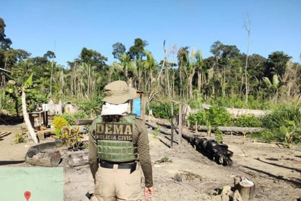 Sema-multa-em-R$-2,8-bilhões-fazendeiro-acusado-de-desmatar-80-mil-hectares