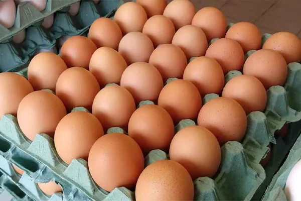Prefeitura-de-Cáceres-planeja-gastar-R$-804-mil-em-manteiga-e-ovos