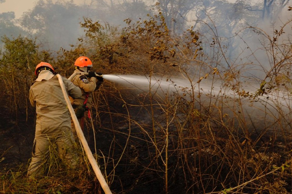 Corpo-de-Bombeiros-combate-três-incêndios-florestais-em-Cáceres-e-Cuiabá