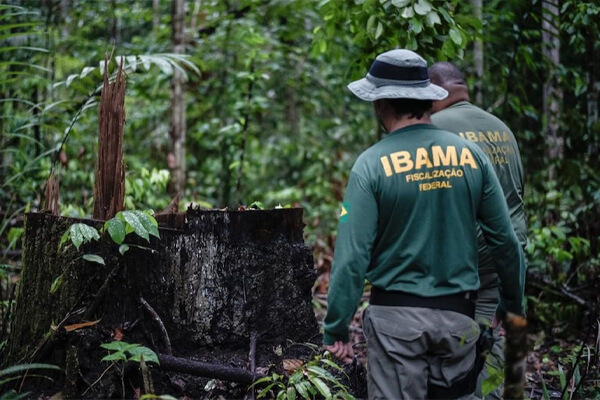 Ibama-abre-concurso-com-salário-de-R$-9,9-mil-e-460-vagas-em-todo-Brasil