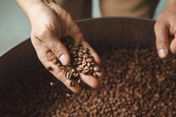 Anvisa proíbe três marcas de ‘café fake’; veja quais