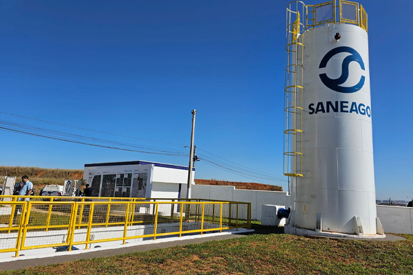 Saneago realiza leilão de veículos com quase 800 opções e lances a partir de R$ 100