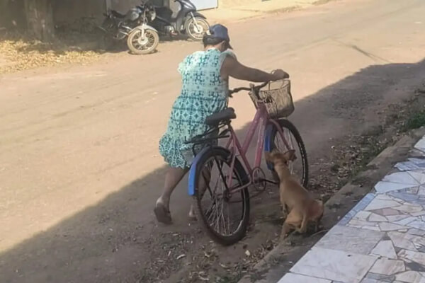 Cão-é-amarrado-e-arrastado-por-mulher-em-Cáceres