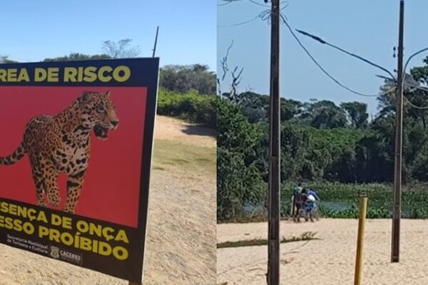 Nem-onça-assusta-Oito-ignoram-interdição