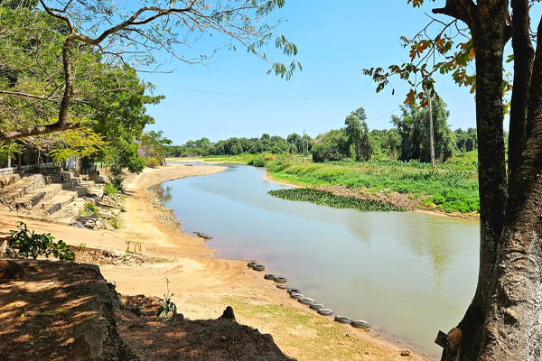 Ciúmes-e-Tiro-às-Margens-do-Rio-Paraguai