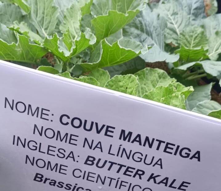 Projeto-de-escola-estadual-em-C&aacute;ceres-1