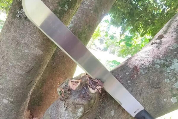 Homem-urina-no-chão-da-casa-de-amigo-e-acaba-esfaqueado