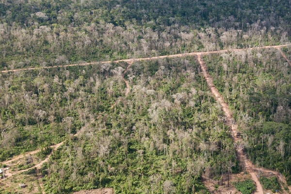 MPF-instaura-inquérito-para-apurar-desmatamento
