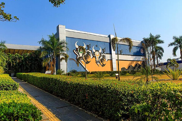 Governo-de-MT-confirma-10-feriadões-em-2026