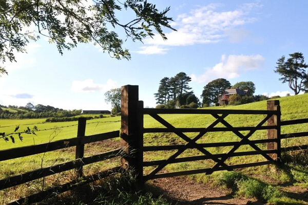 Criminosos-simulam-negociação-de-fazenda