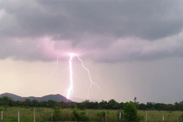 Raio-mata-idoso-e-cavalo-em-fazenda-de-Cáceres