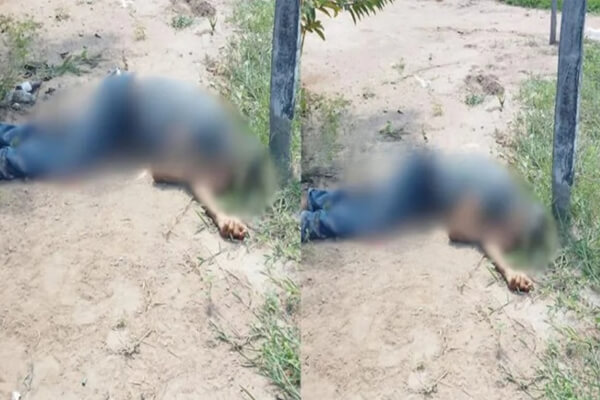 Ex-candidato-a-vereador-de-Cáceres-é-executado