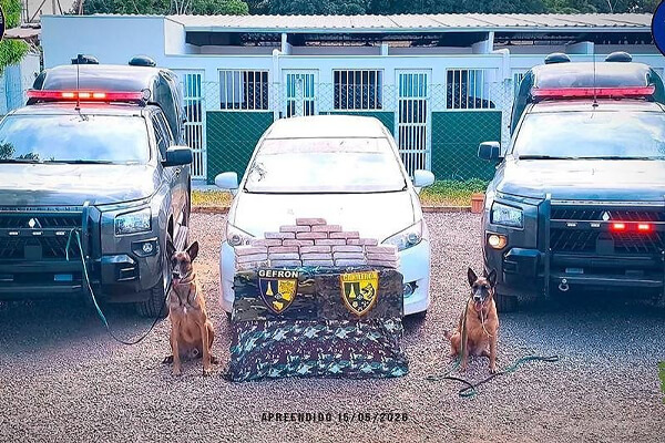 Cães-farejadores-do-Gefron-descobrem-26-quilos