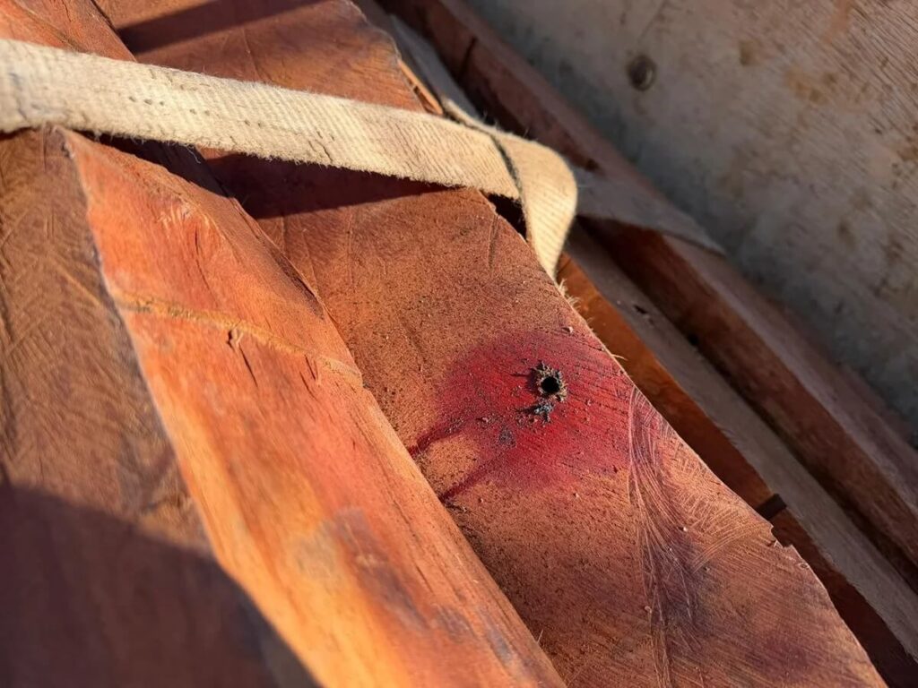 Coca&iacute;na-escondida-em-carga-de-madeira